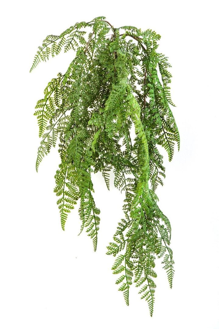 Artificial Plants / Ferns / Wood fern hanging bush | Koberg B.V.